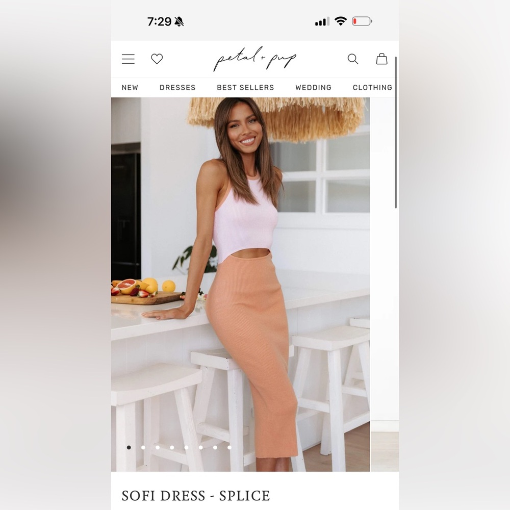 Petal & Pup Sofi Dress in Splice XS/S